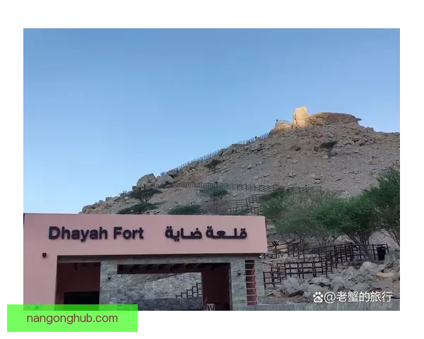 拉斯海马地区高清地形与地貌详细分布图全景展示